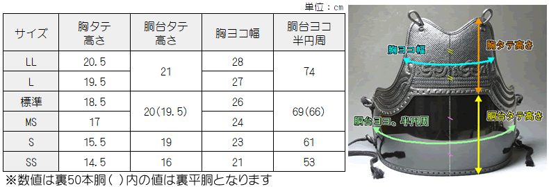 胴サイズ 実測値