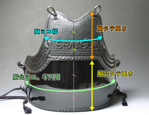 胴サイズの寸法図